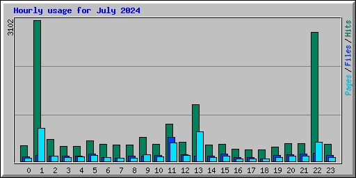 Hourly usage for July 2024