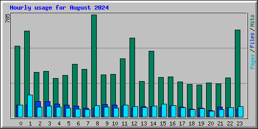 Hourly usage for August 2024