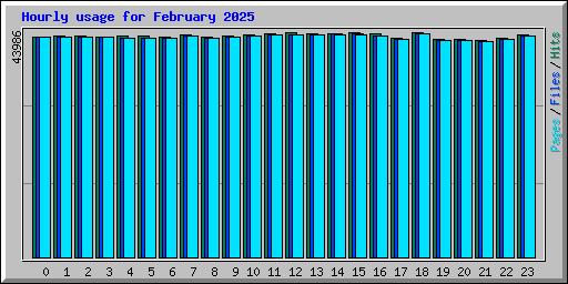 Hourly usage for February 2025