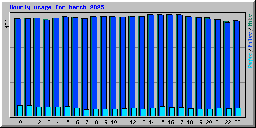 Hourly usage for March 2025