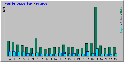 Hourly usage for May 2025