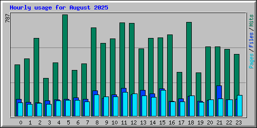 Hourly usage for August 2025