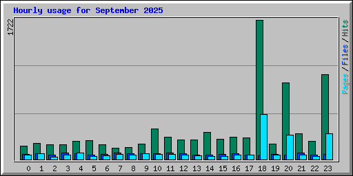 Hourly usage for September 2025