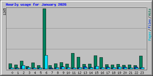 Hourly usage for January 2026