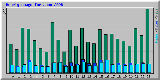 Hourly usage for June 2026