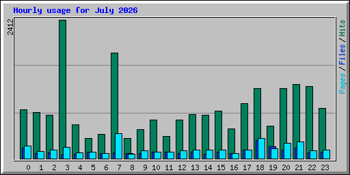 Hourly usage for July 2026
