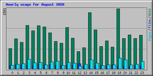 Hourly usage for August 2026