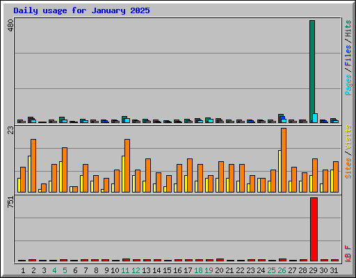 Daily usage for January 2025