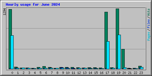 Hourly usage for June 2024