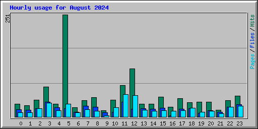 Hourly usage for August 2024