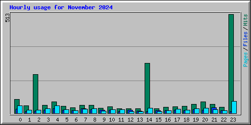 Hourly usage for November 2024