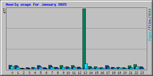 Hourly usage for January 2025