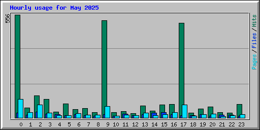 Hourly usage for May 2025