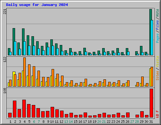 Daily usage for January 2024