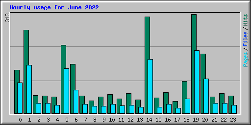 Hourly usage for June 2022