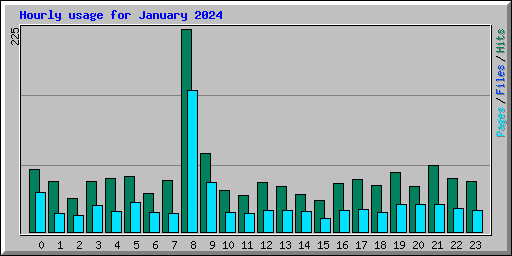 Hourly usage for January 2024
