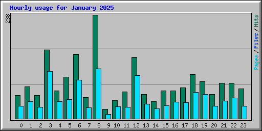 Hourly usage for January 2025