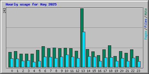 Hourly usage for May 2025