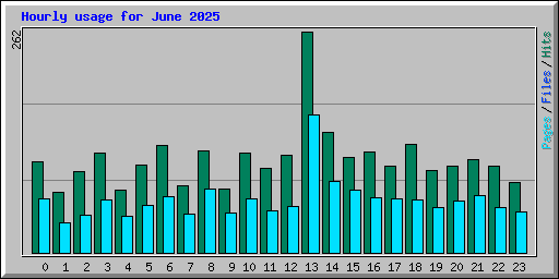 Hourly usage for June 2025