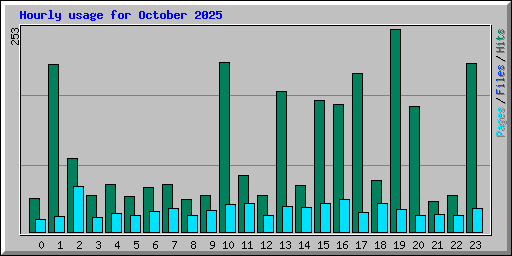Hourly usage for October 2025