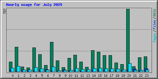 Hourly usage for July 2025