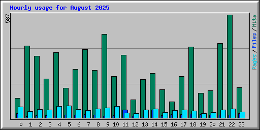 Hourly usage for August 2025