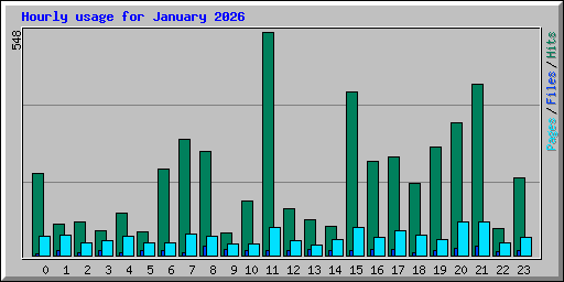 Hourly usage for January 2026