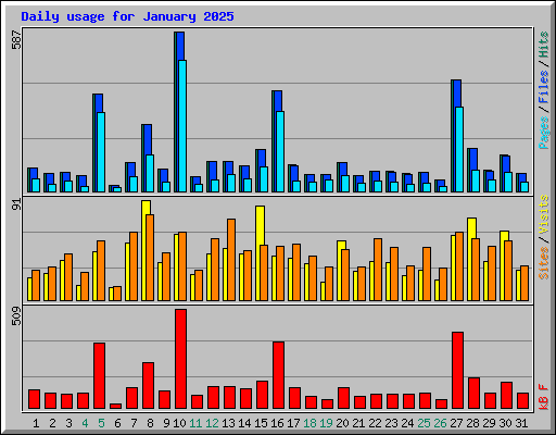 Daily usage for January 2025