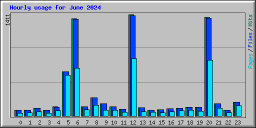 Hourly usage for June 2024