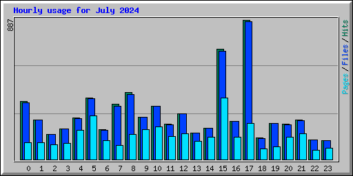 Hourly usage for July 2024