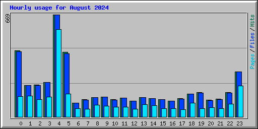 Hourly usage for August 2024