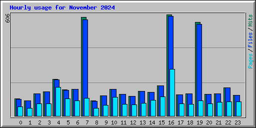 Hourly usage for November 2024