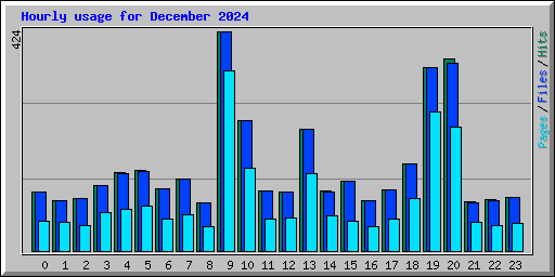 Hourly usage for December 2024