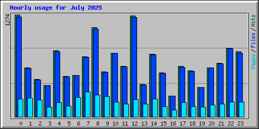 Hourly usage for July 2025
