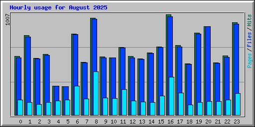 Hourly usage for August 2025