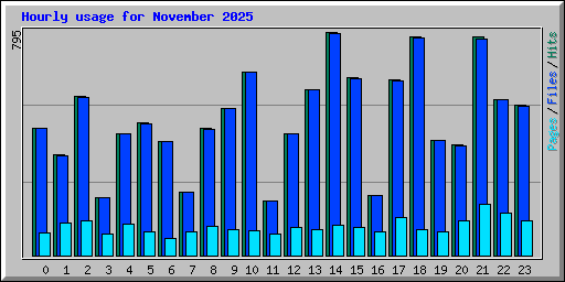 Hourly usage for November 2025