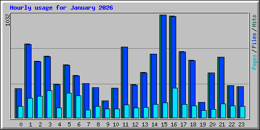 Hourly usage for January 2026