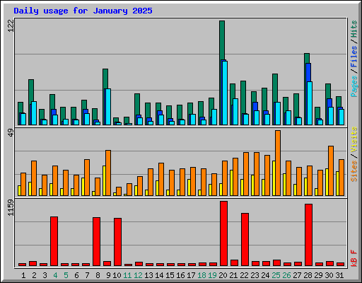 Daily usage for January 2025