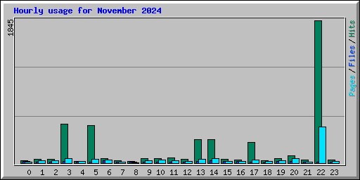 Hourly usage for November 2024