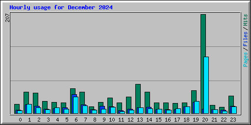 Hourly usage for December 2024