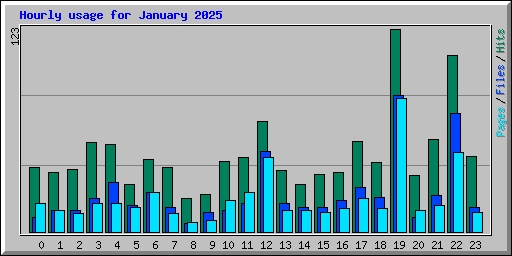 Hourly usage for January 2025