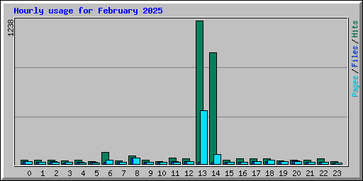 Hourly usage for February 2025