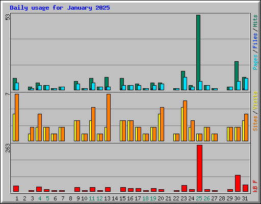Daily usage for January 2025