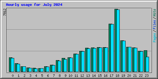 Hourly usage for July 2024