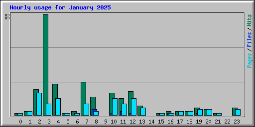 Hourly usage for January 2025