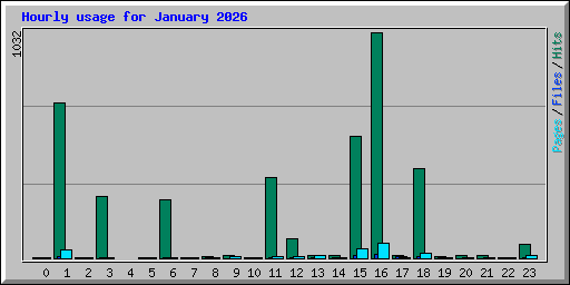 Hourly usage for January 2026