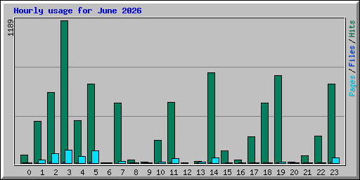 Hourly usage for June 2026