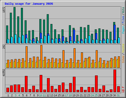Daily usage for January 2026