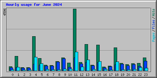 Hourly usage for June 2024