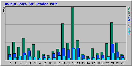 Hourly usage for October 2024